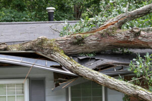 roof damage